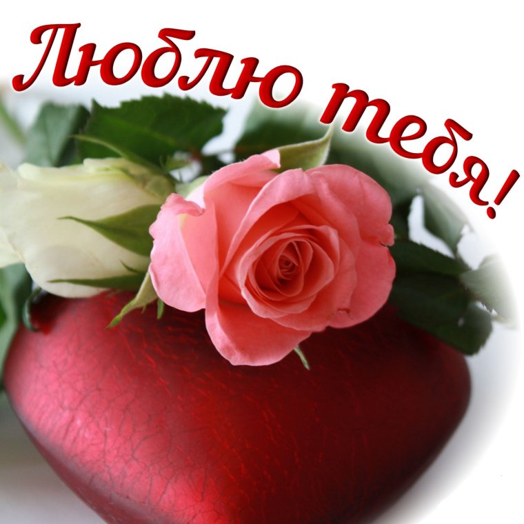 Цветы для любимой