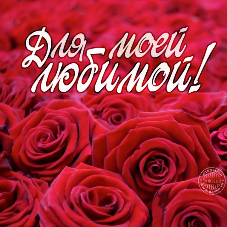 Красивые цветы длямлюбимой