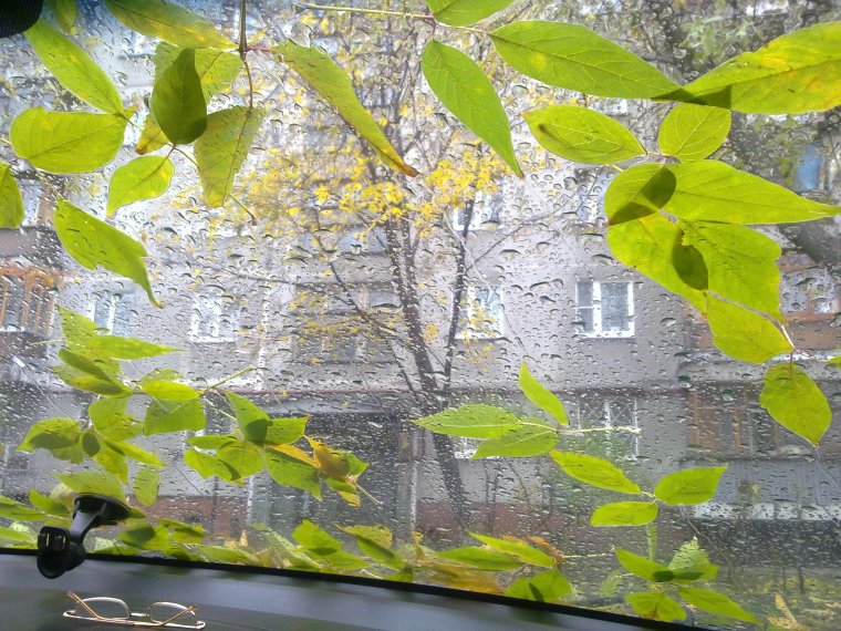 Коллаж на тему весенний дождь