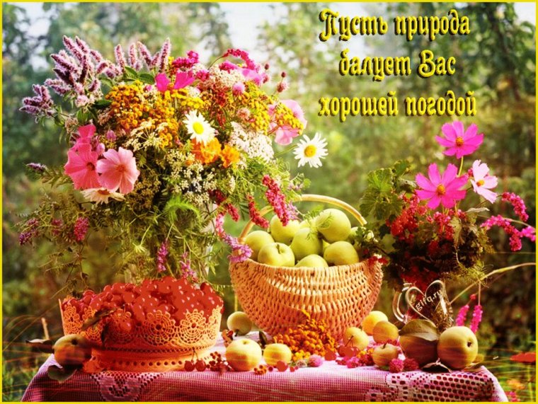 Хорошая погода