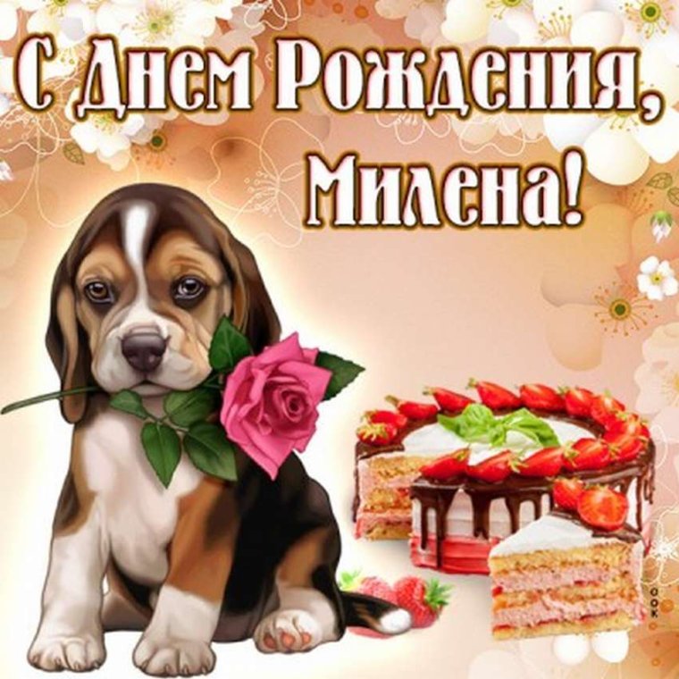 Поздравления с днём рождения жыну
