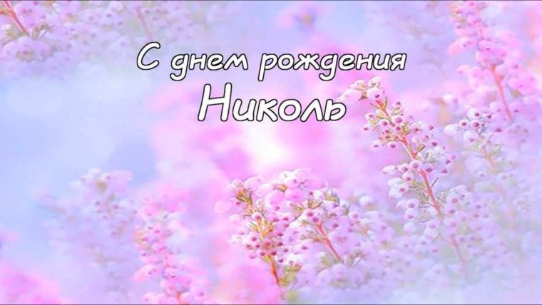 Поздравления с днём рождения Николь