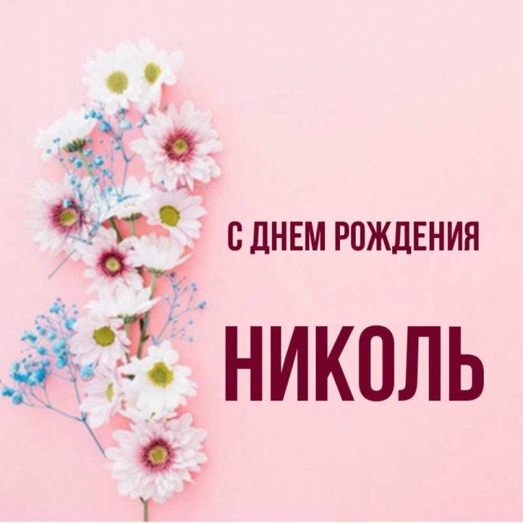 С днём рождения Николь