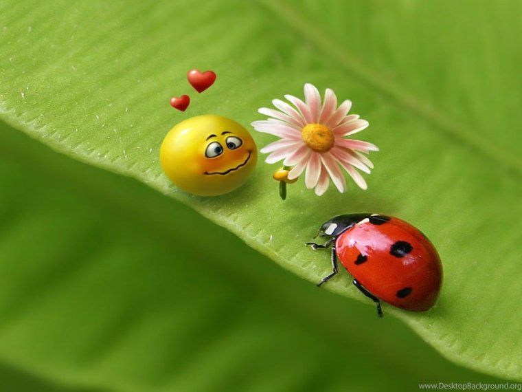 Смешная Божья коровка