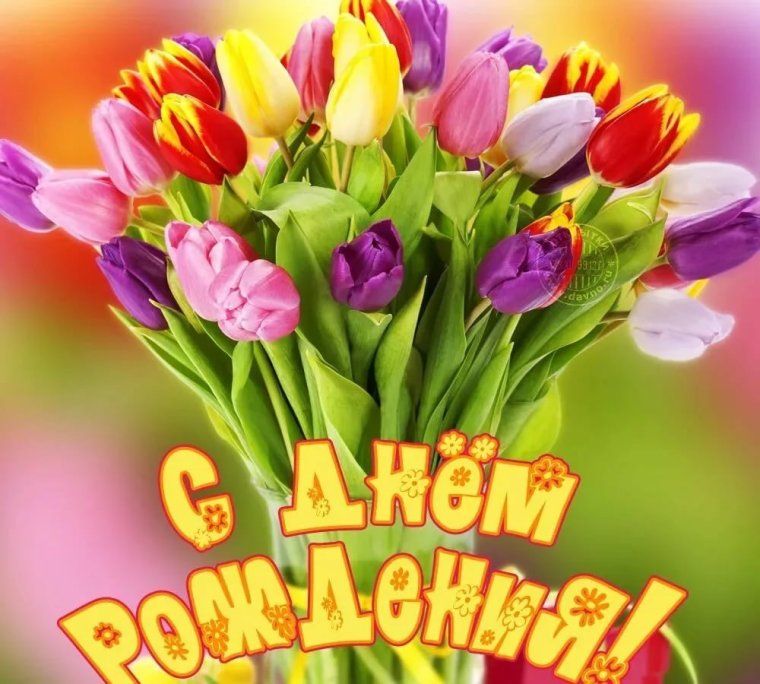 С днём рождения Елена