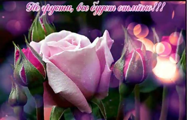 Цветы живые и с пожеланием