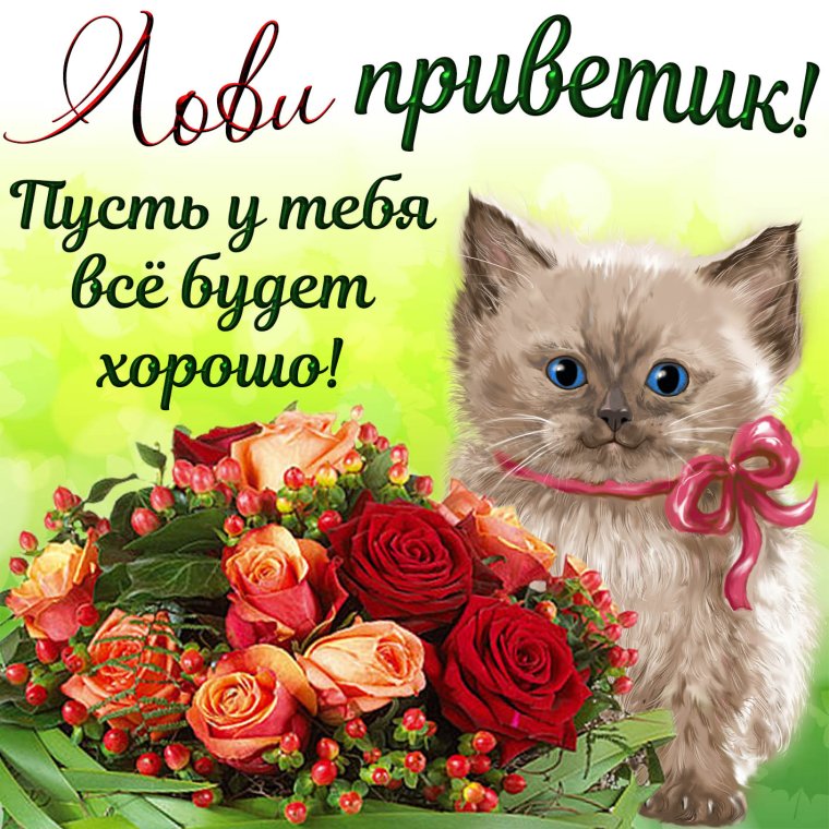 С приветом и добрыми пожеланиями