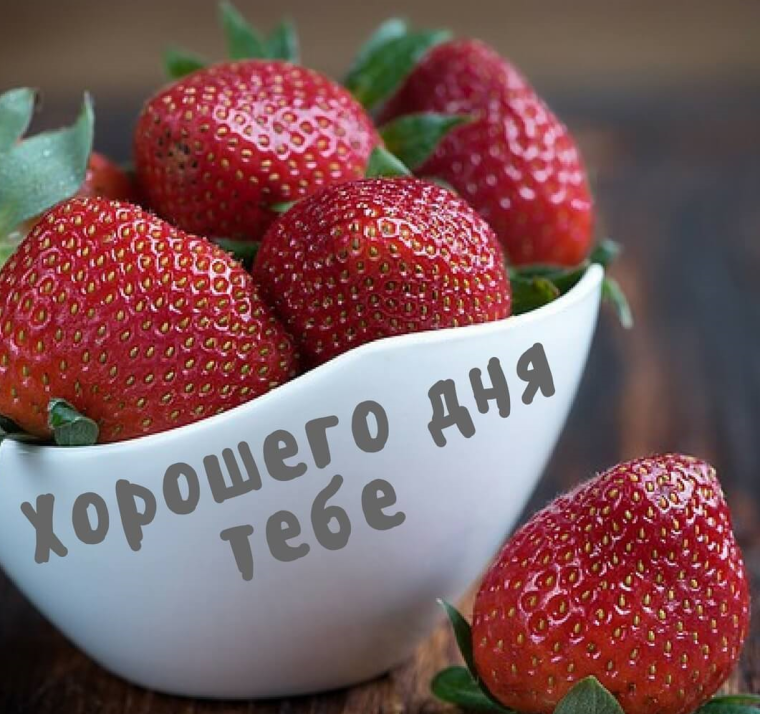 Отличного дня