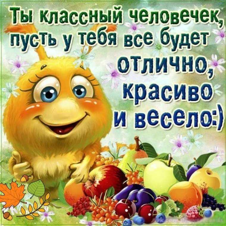Смешные открытки для поднятия настроения