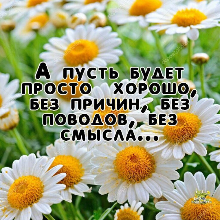 Доброе утро цитаты