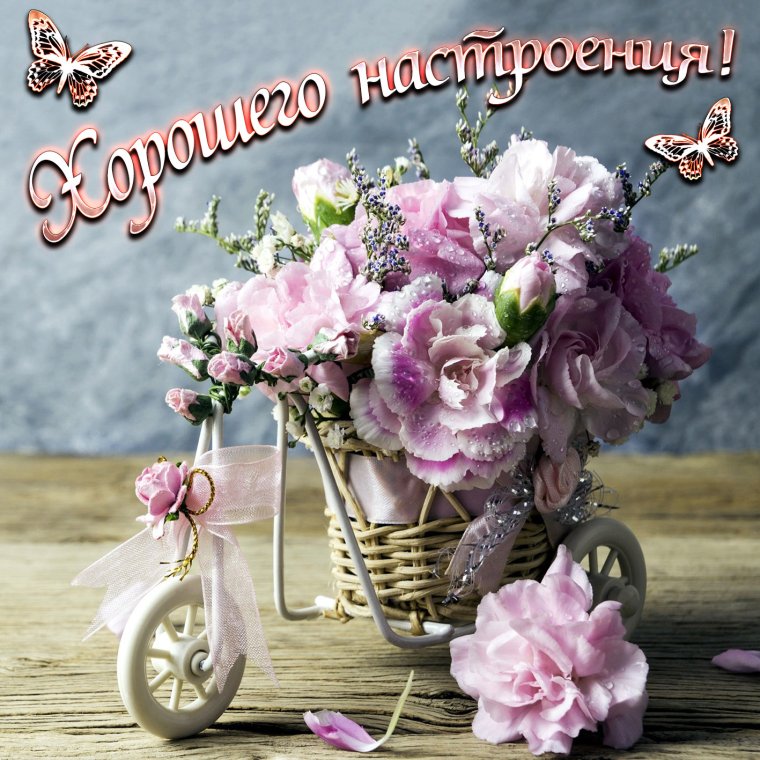 Хорошего дня и отличного настроения