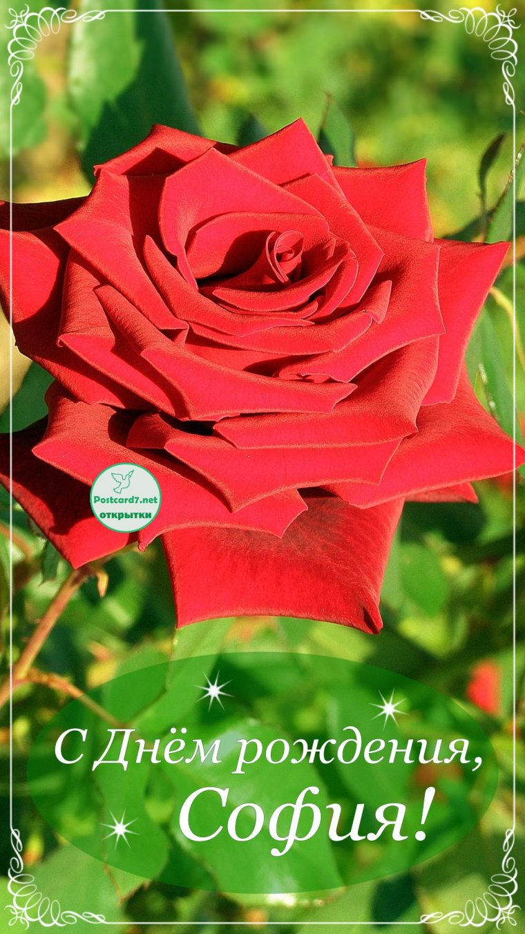 День рождения СУФИ