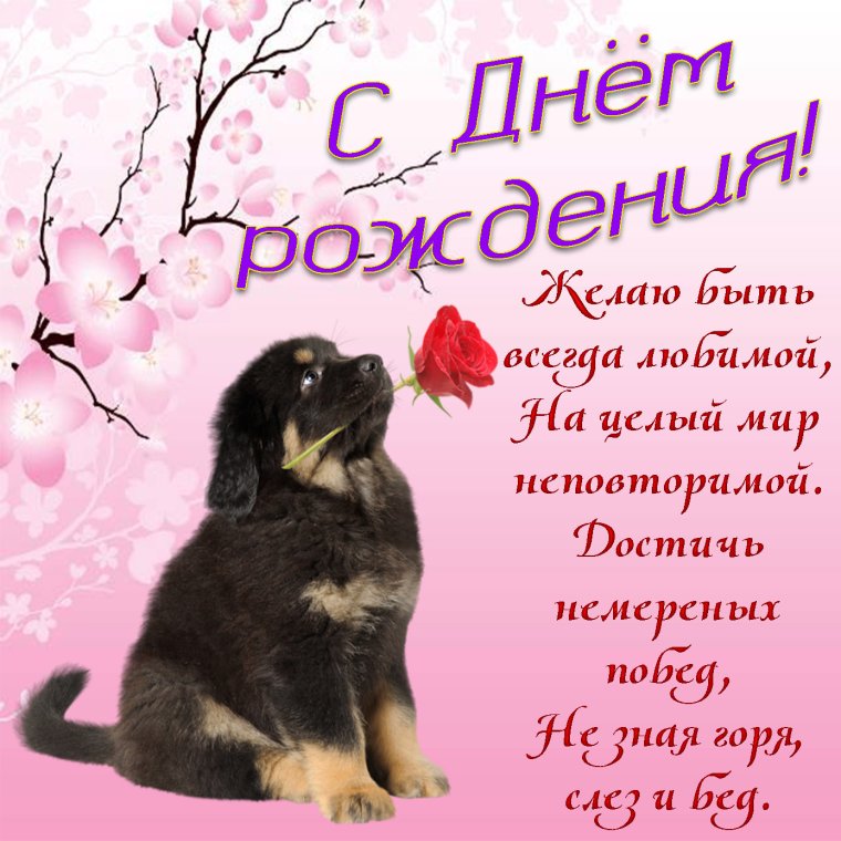 Милые стихи на день рождения