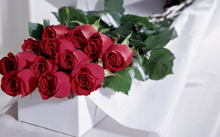 ЧС 8 марта поздравления