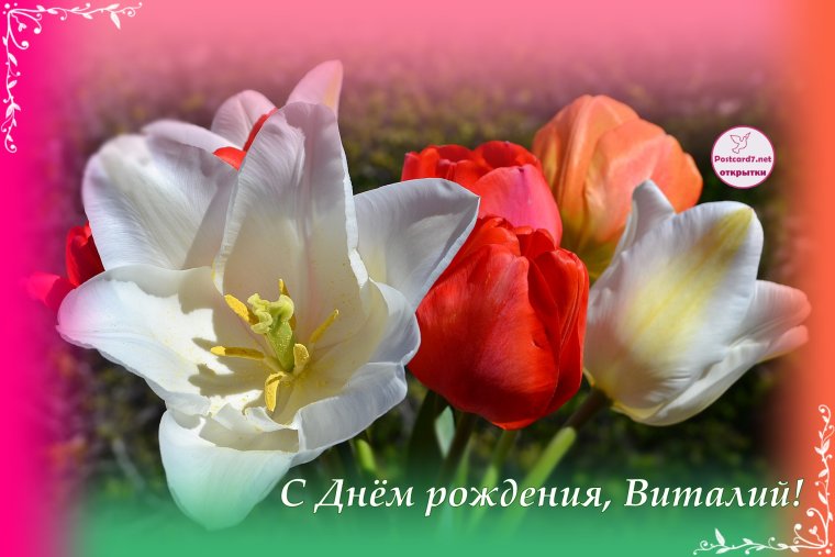 С днем рождения Евгений картинки оригинальные