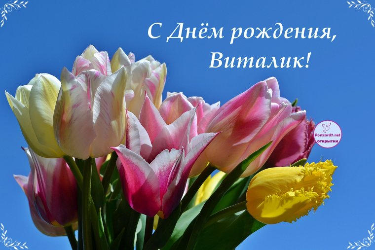 Открытки с днём рождения брат Виталик