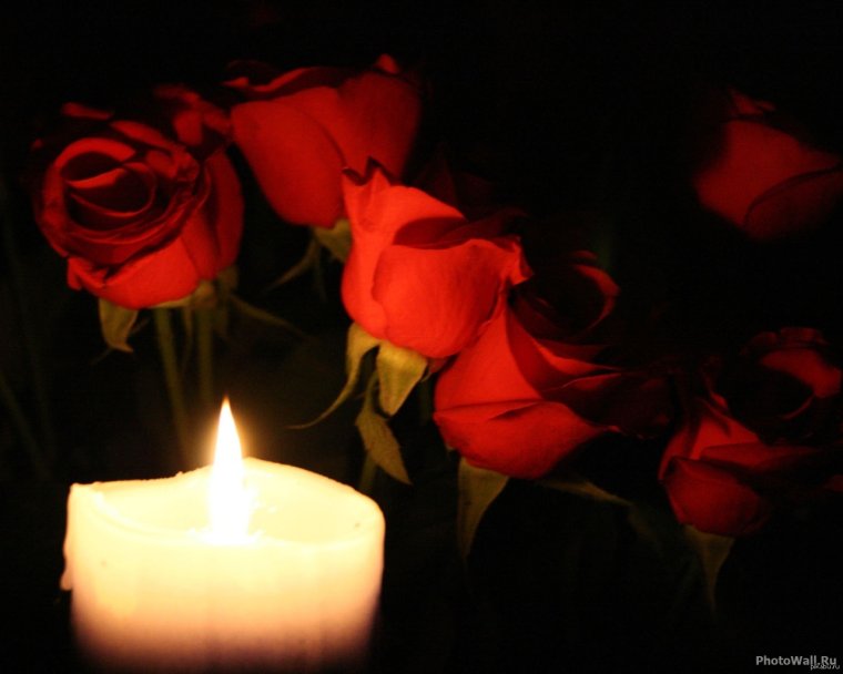 Припомним любим скорбим