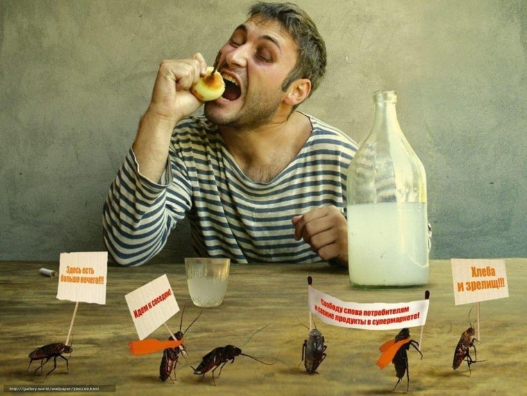 Смешной барсук