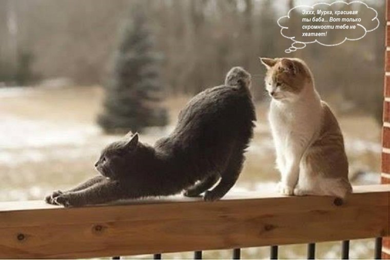 Платоническая любовь