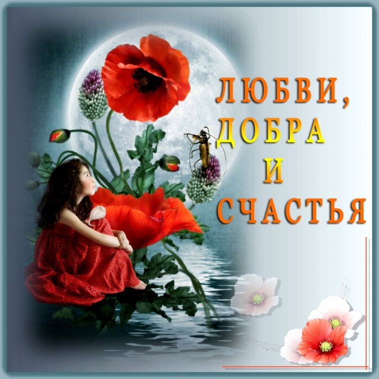 Желаю мира и добра