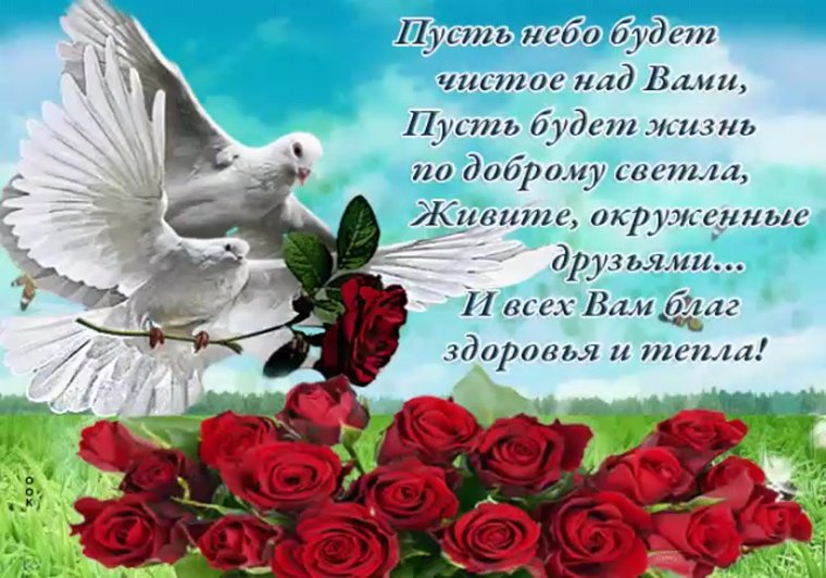 Открытки с пожеланиями