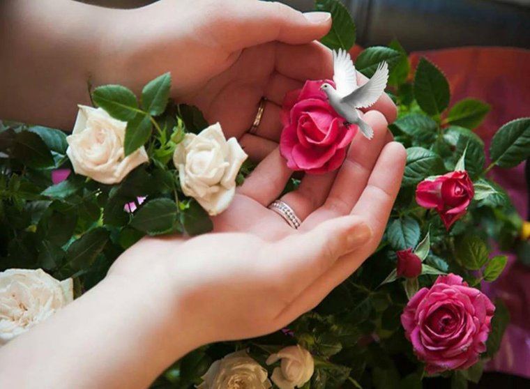 Открытки с добрым днём