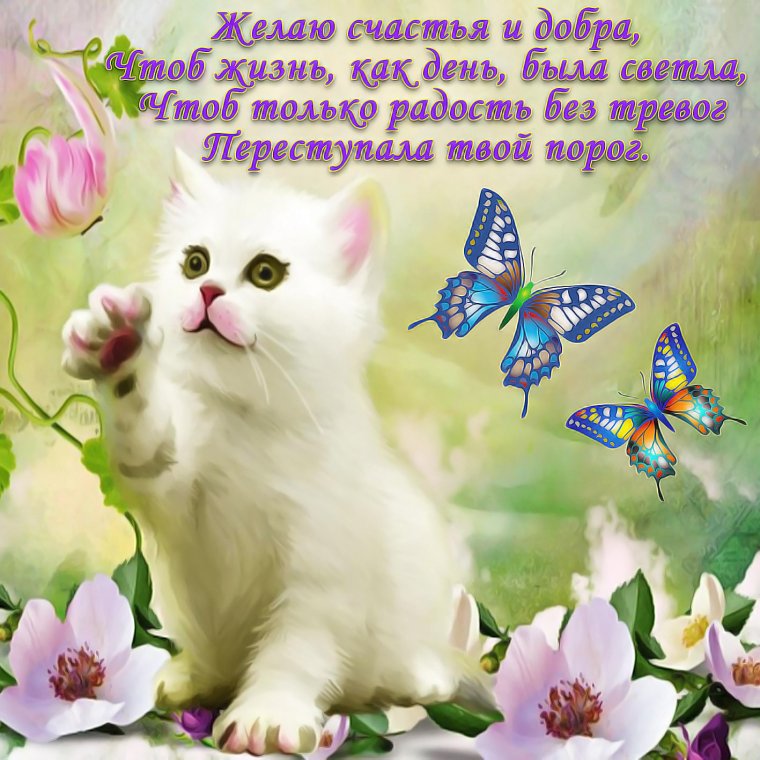 Пожелания счастья и добра