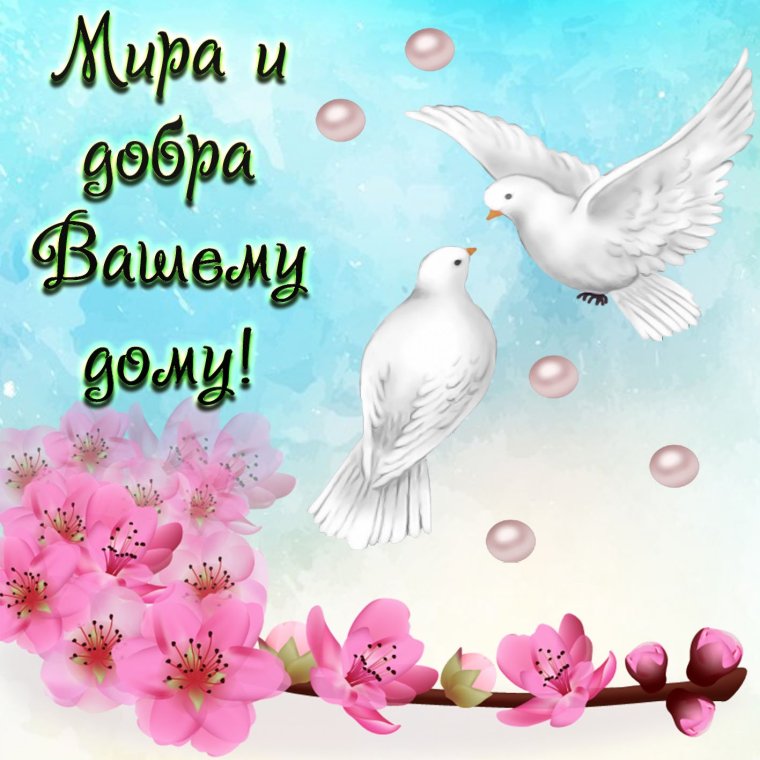 Мира счастья и добра