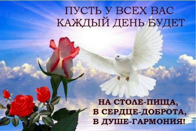 Пожелание прекрасного дня