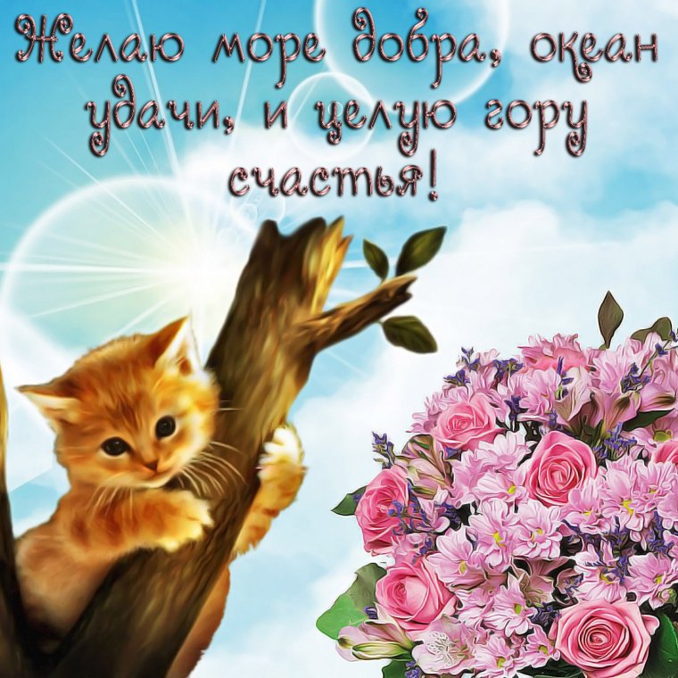 Пожелания здоровья и благополучия