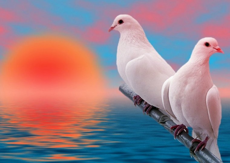 Добрые пожелания