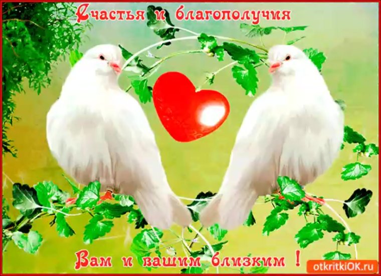 Пожелания мира и добра