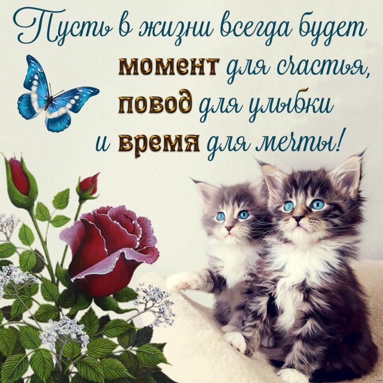 Пусть будут рядом доброта здоровье мир и красота