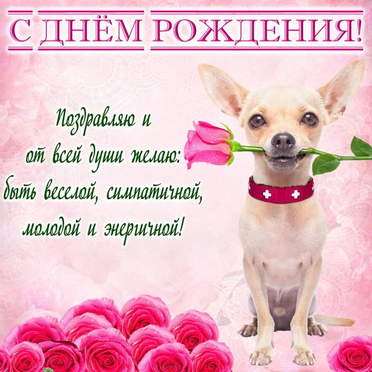 С днем рождения