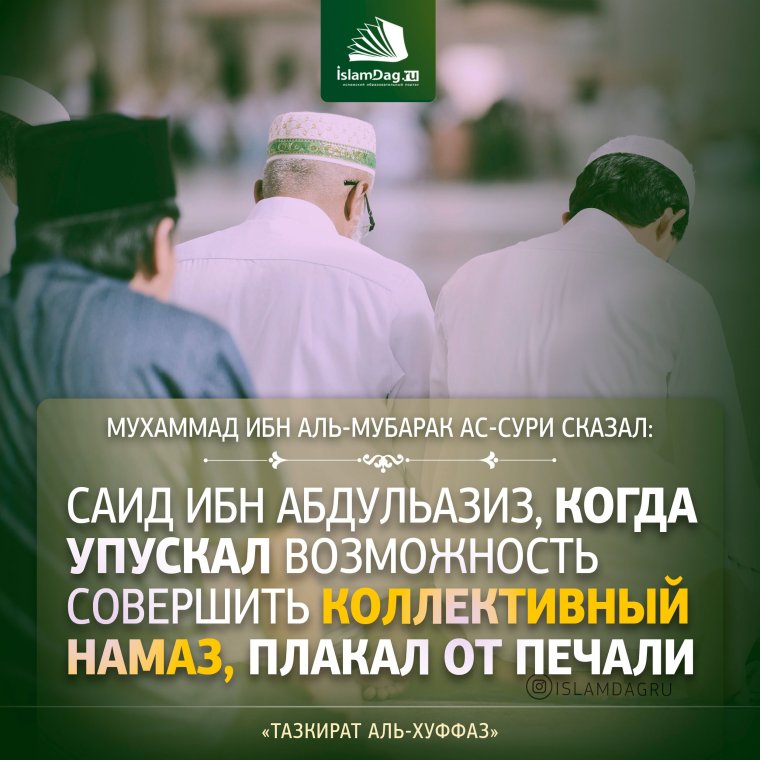 Arafa картинки
