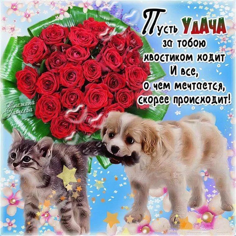 Открытки с пожеланием удачи и успеха