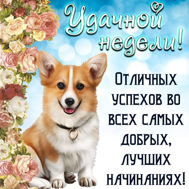 Красивые поздравления с новым годом