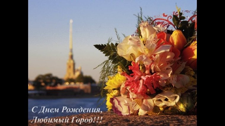 Петербургские коты Елены Романовой