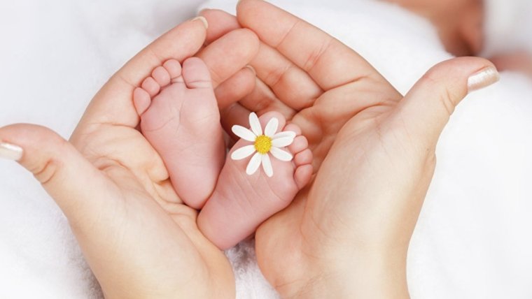 Аист с младенцем