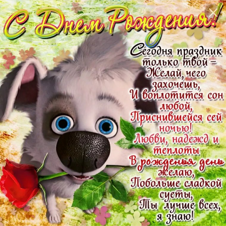 Тюльпан Акита