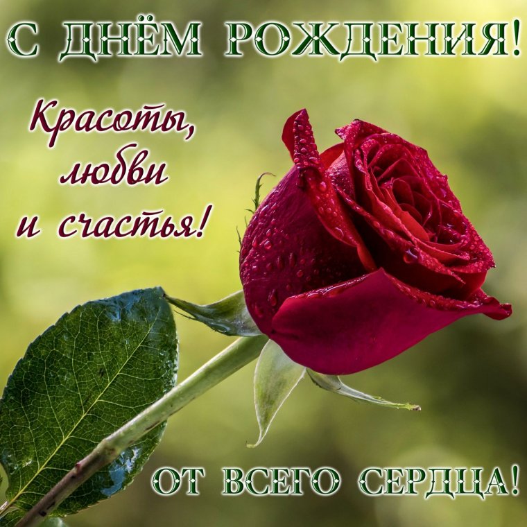 Поздравления с днём рождения