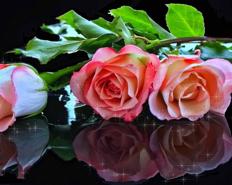 Поздравления с днём рождения Ольге