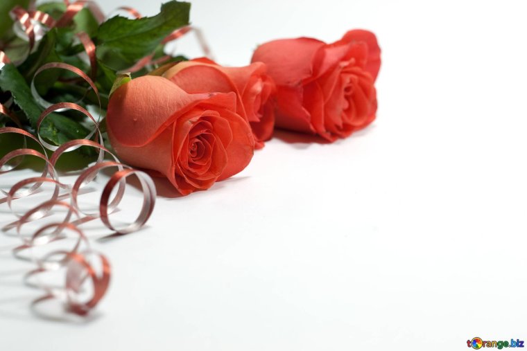 Сабвуфер FBT LS 61a