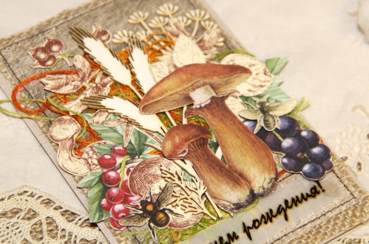 Открытка с днем рождения с грибами