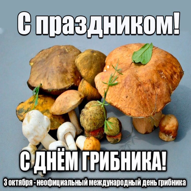 Грибы для декупажа