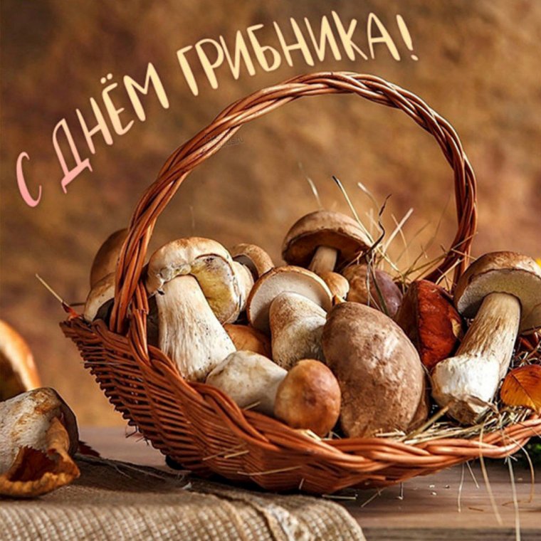 Всемирный день грибника 3 октября