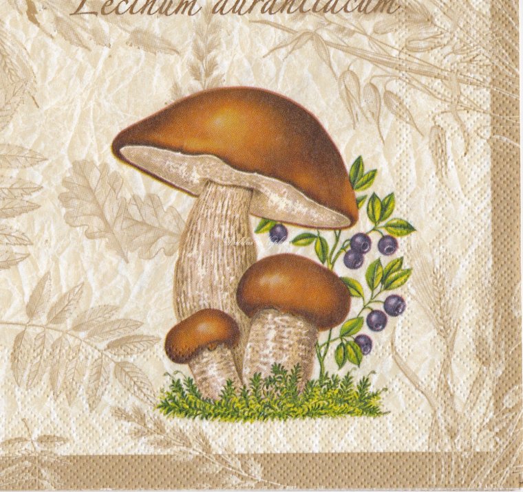 Домшим с грибами