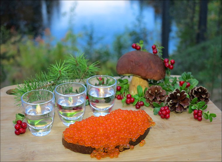 Полная корзина грибов