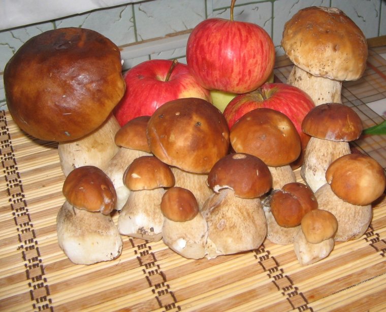 Корзинка с грибами и ягодами