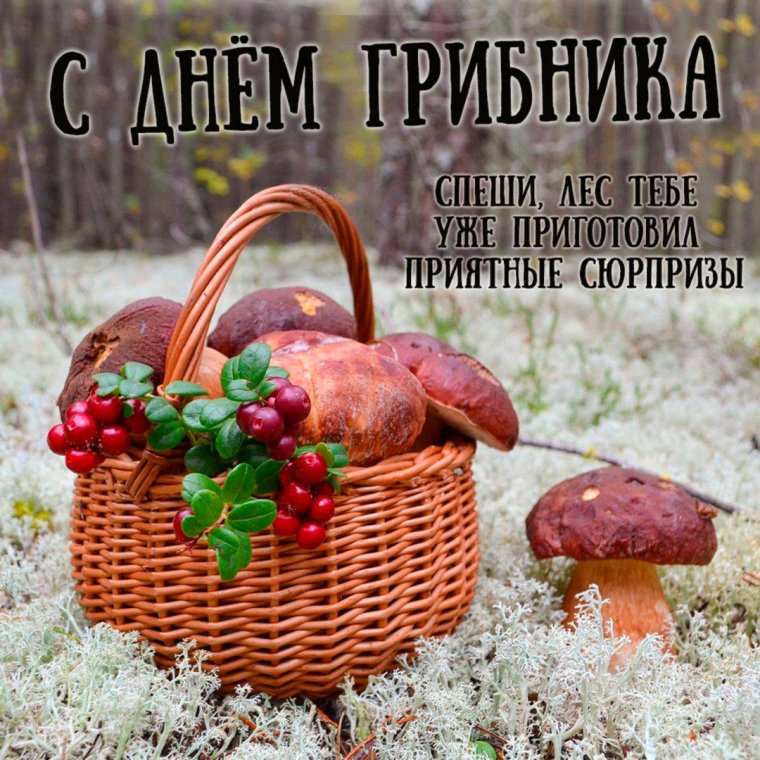 Корзина с лесными дарами